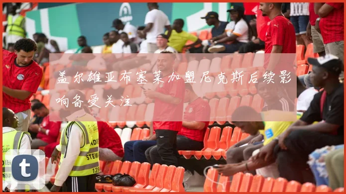 盖尔雄亚布塞莱加盟尼克斯后续影响备受关注