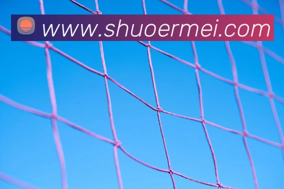 世界杯官网线上平台服务体系